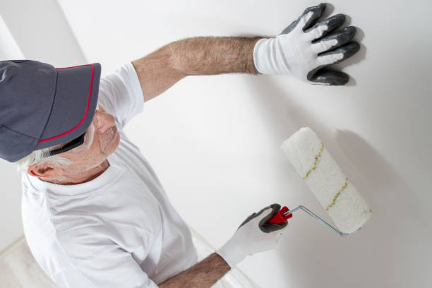 Best Asbestos and Lead Testing During Mold Inspection  in Clara City, MN