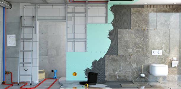 Best Mold Documentation for Insurance Claims  in Clara City, MN