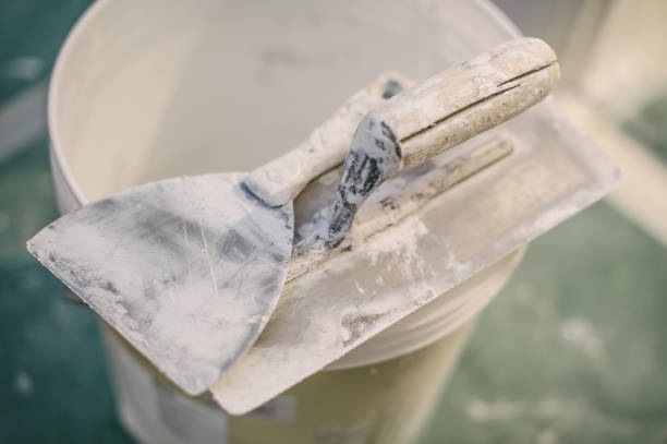 Best Environmental Consulting for Mold Prevention  in Clara City, MN