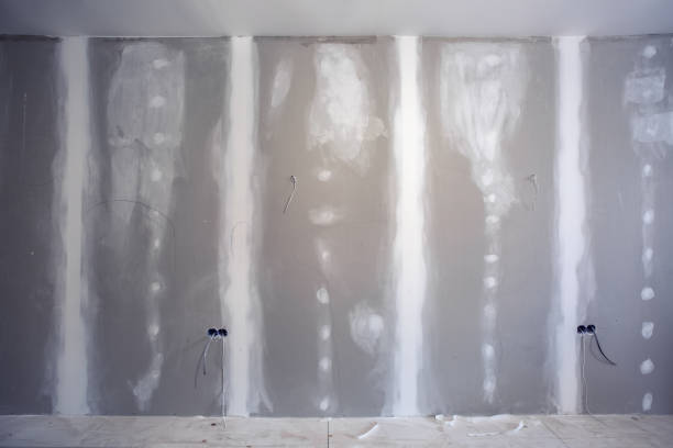 Best Basement Mold Removal  in Clara City, MN